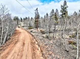 246 Elk View Rd, Lake George, CO 80827