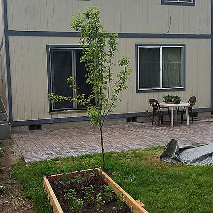 After Patio