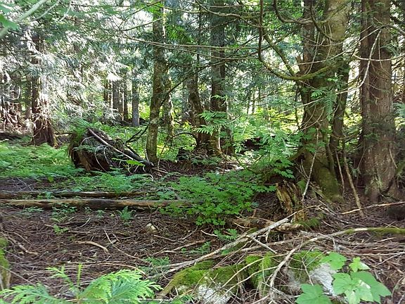 2nd image of 87230 NE Old Cascade Hwy