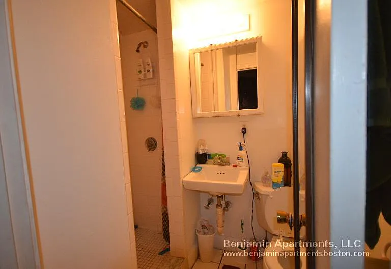 55 S Huntington Ave #301 — Photo 5