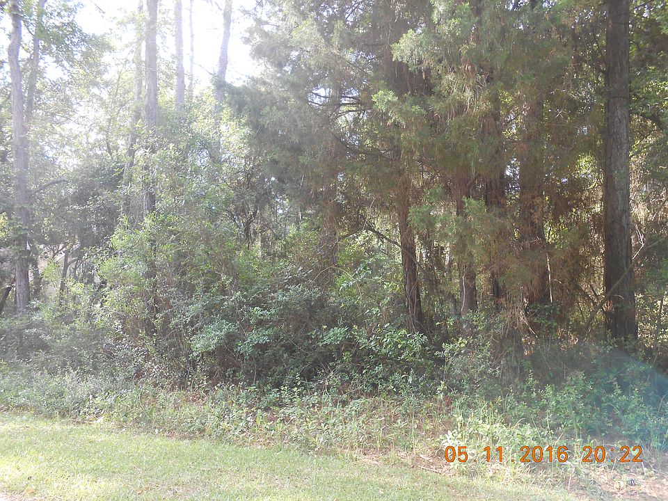 2nd image of 1005 Mauvilla Pl