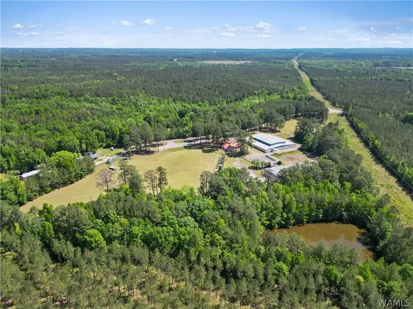 181 Sumter Academy Rd, York, AL 36925