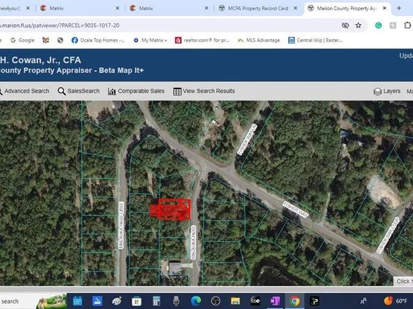 Malauka Pass Lot 20, Ocklawaha, FL 32179