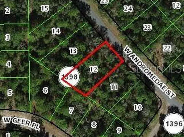 2150 W Andromedae Dr, Citrus Springs, FL 34434