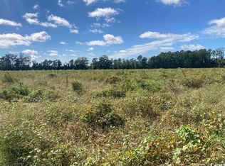 Choppee Rd, Hemingway, SC 29554