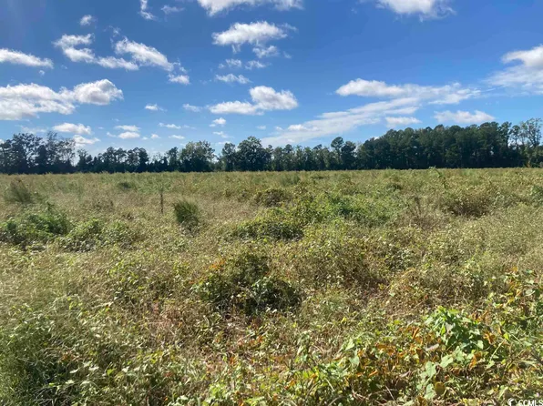 TBD Choppee Rd., Hemingway, SC 29554