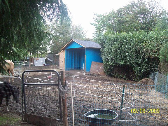 horse/goats area