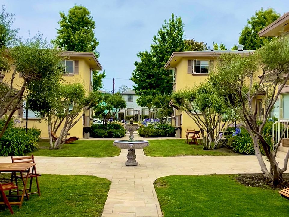 Olive Tree Courtyard