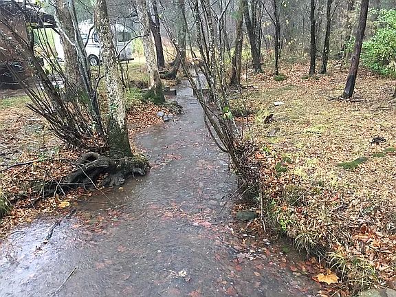 Creek in the front yard.