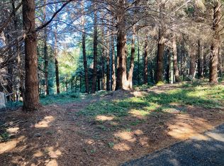 191 Olson Rd, Whitethorn, CA 95589