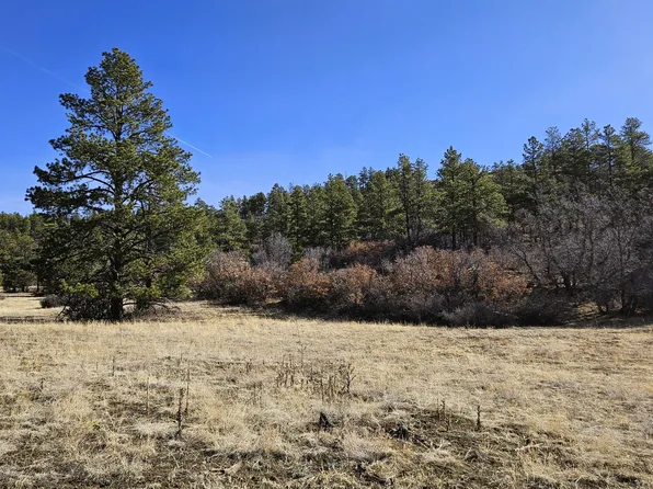 338 Rancho La Garita Filing #10, Weston, CO 81091