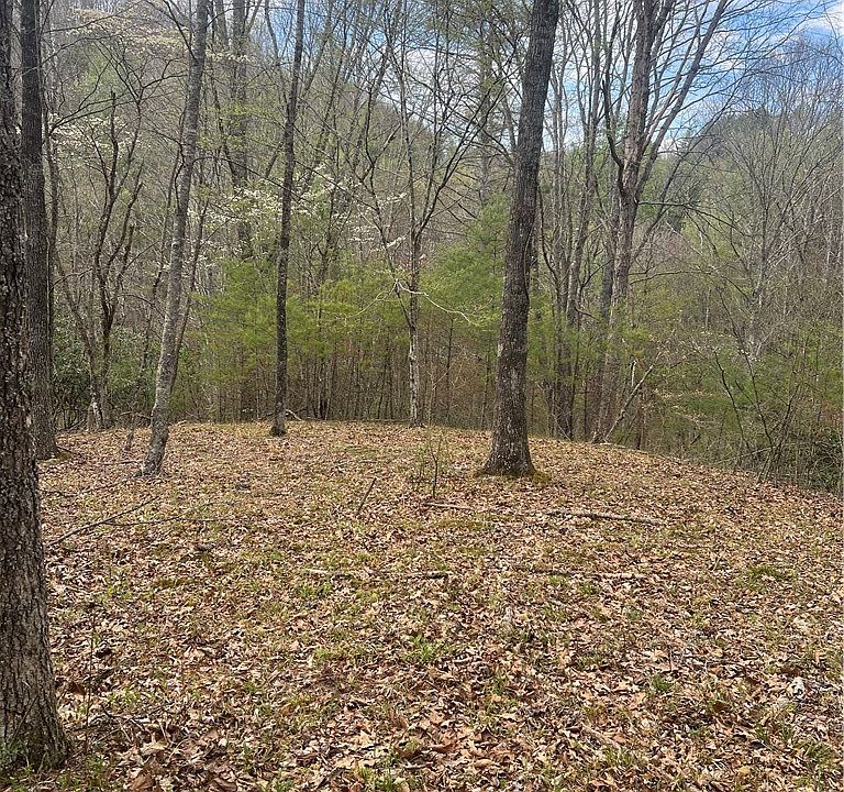 2nd image of TBD RIVER BEND HILLS Road