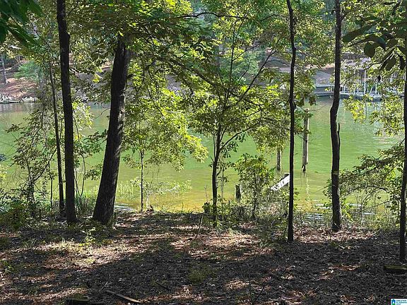 5th image of 170 Griffitt Bend Rd