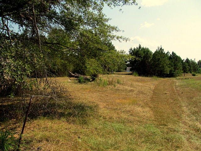 2nd image of 40154 McDuffie Cemetery Rd