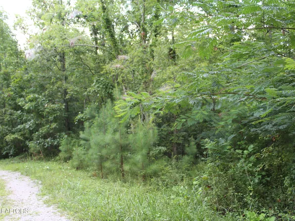 299 Fair Oaks Ln, Jamestown, TN 38556