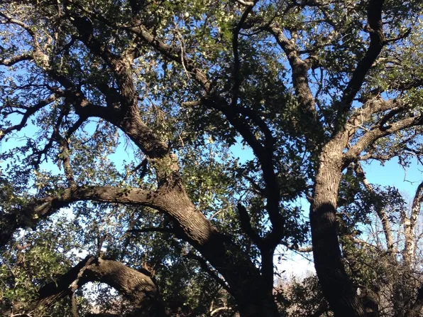 LOT 694 Balcones Ln, Graford, TX 76449