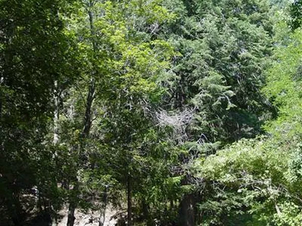 10920 E Tanager Ln, Mount Lemmon, AZ 85619