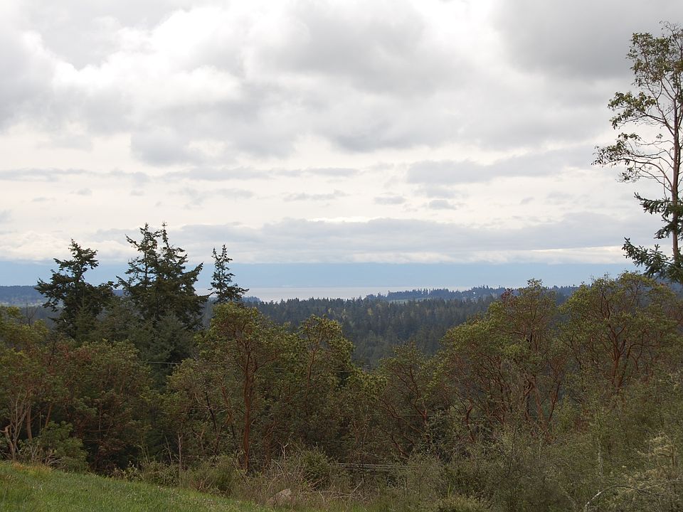 Looking south