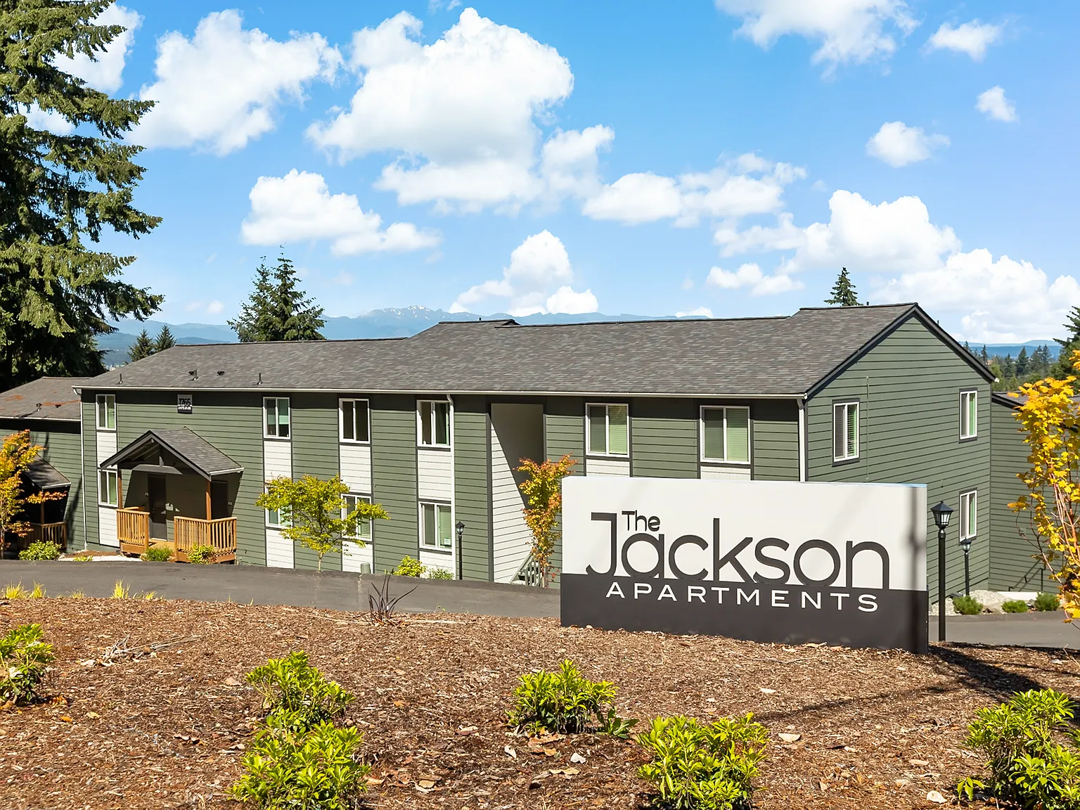 Timber Run & The Jackson — Photo 3