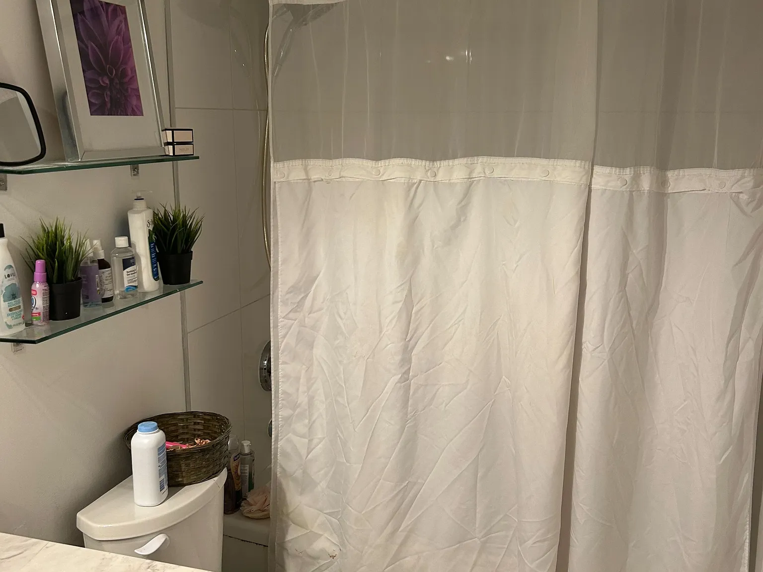 1 bed, $950 — Photo 4