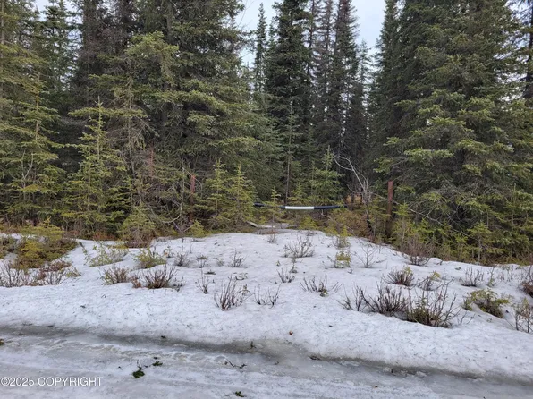 L13-B3 Squirrel St, Kasilof, AK 99610
