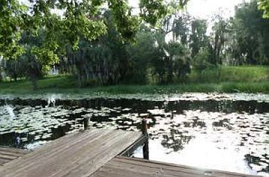 4th image of 3038 Walden Shores Blvd