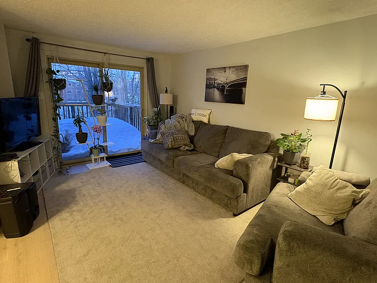 Evergreen Ct — Photo 6