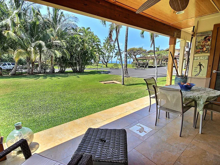 185 Pualei Dr #3 — Photo 31