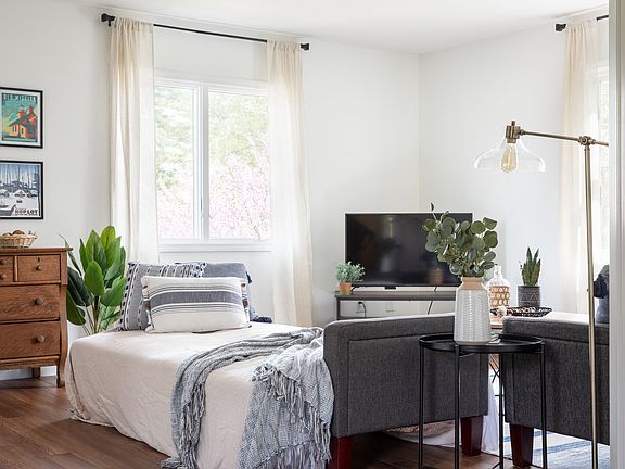 2 couches in living room which pull down to sofa beds