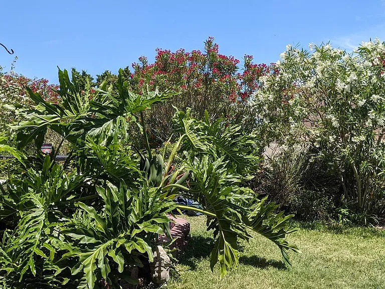 925 Tarpon Ave #2 — Photo 7