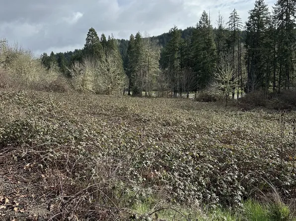 Curtin Park Rd, Cottage Grove, OR 97424