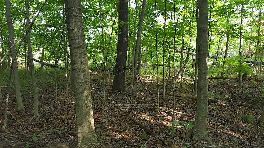 1st image of LOT 7 Watson Pl
