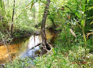 0 Lewis Rd, Louisville, GA 30434