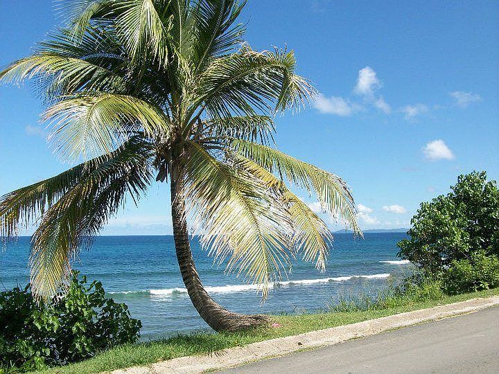 view across the street