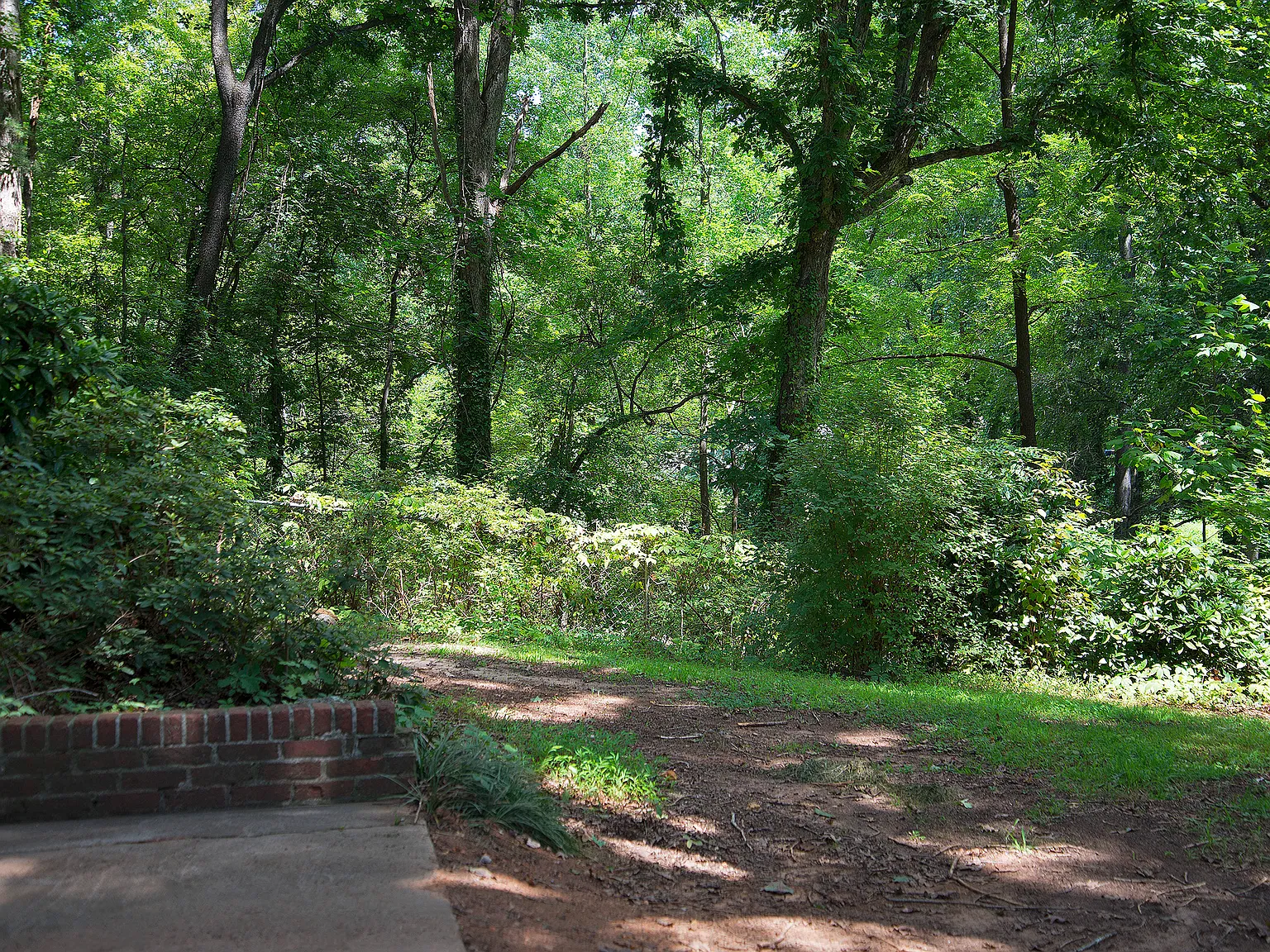 1 bed, 900 sqft, $1,800 — Photo 2