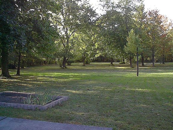 Glorious backyard