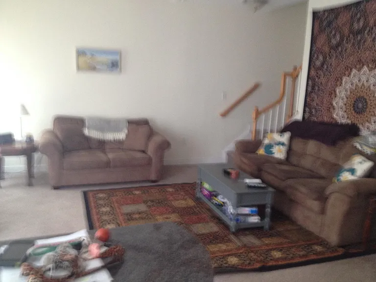 Large family room