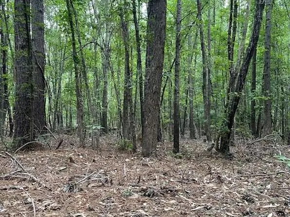 1006 Old Louisville Road, Harlem, GA 30814