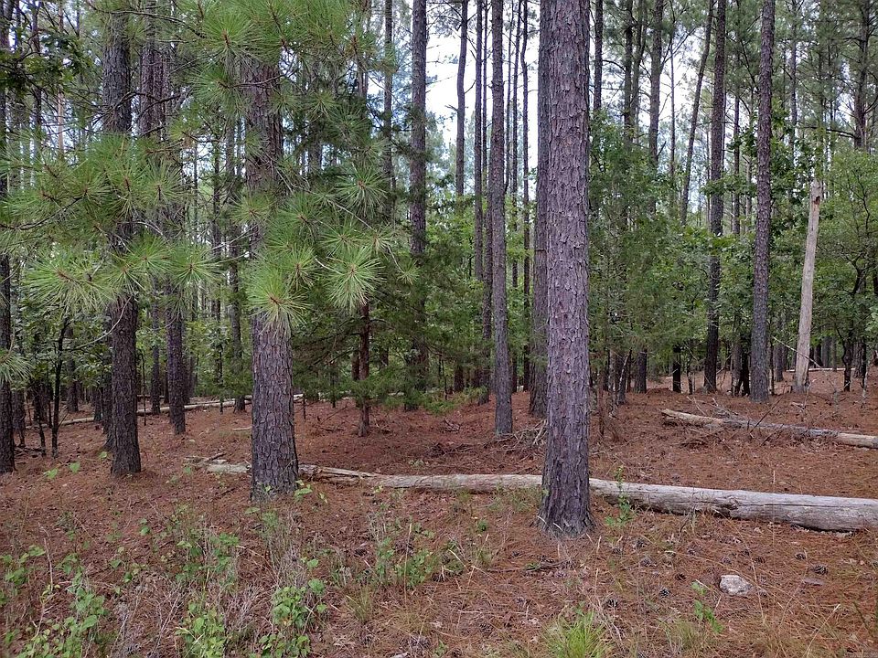2nd image of 342 Maderas Dr