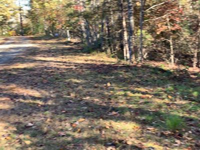 2B Ashley Trl, Warne, NC, 28909