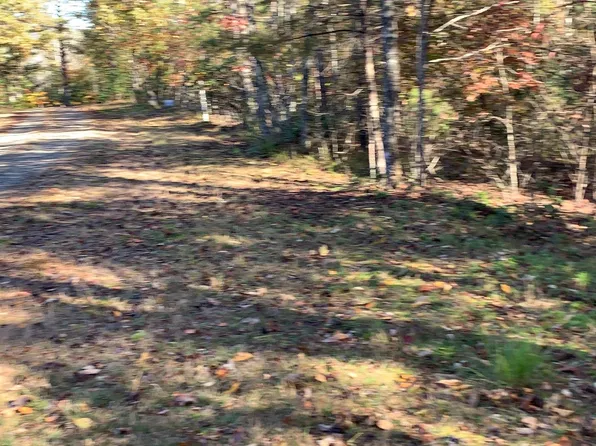 2B Ashley Trl, Warne, NC 28909