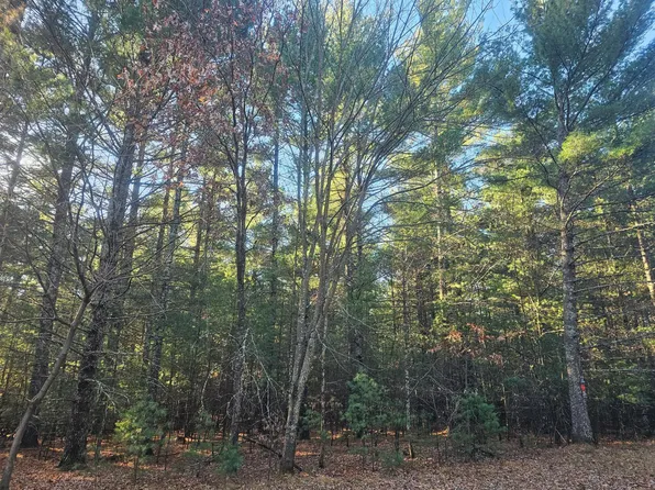 Harmon Ave E, Grantsburg, WI 54840