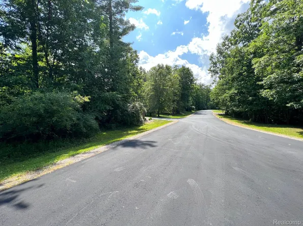 5325 Forest Hills Ln, North Street, MI 48049