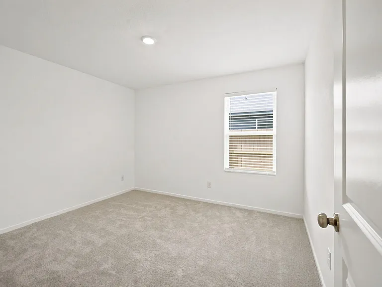 702 Umbrella Tree Dr — Photo 13
