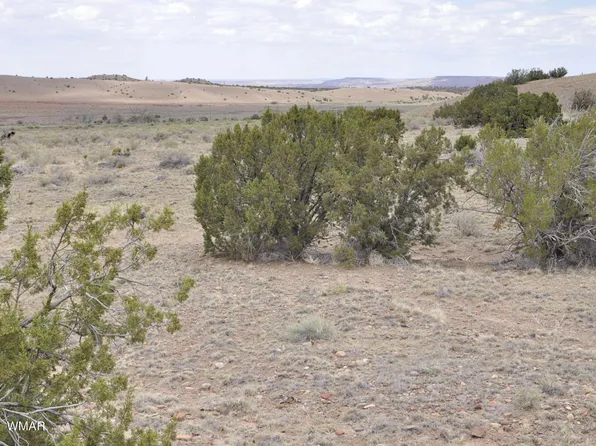 88B County Road 5035, Concho, AZ 85924