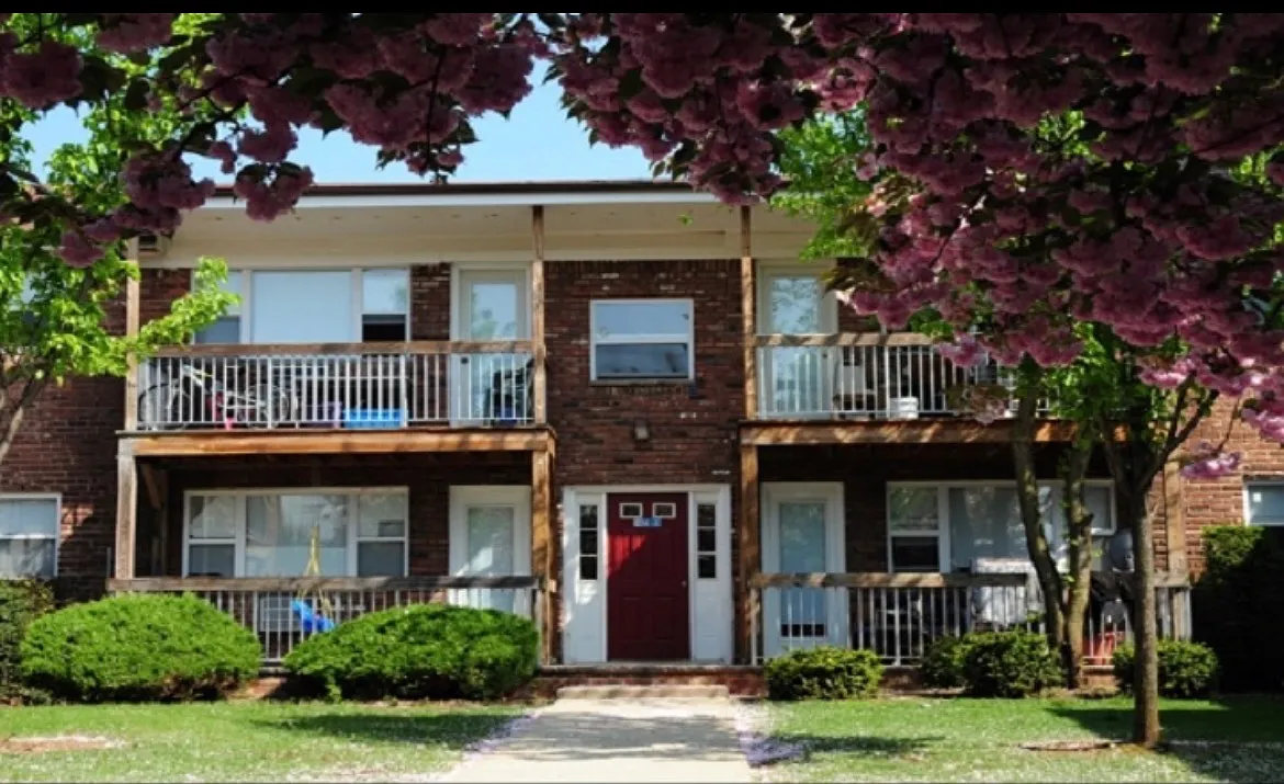 1 bed, $850 — Photo 3