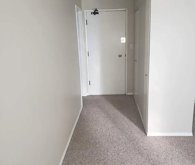 215 Carnarvon St #204 — Photo 11