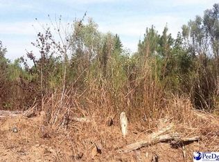 Blind Man Rd, Kingstree, SC 29556