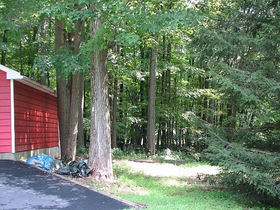 Next to Garage - Down river - with Trees in Bloom