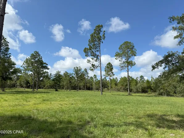 0 Lake Dr Parcel A, Marianna, FL 32448